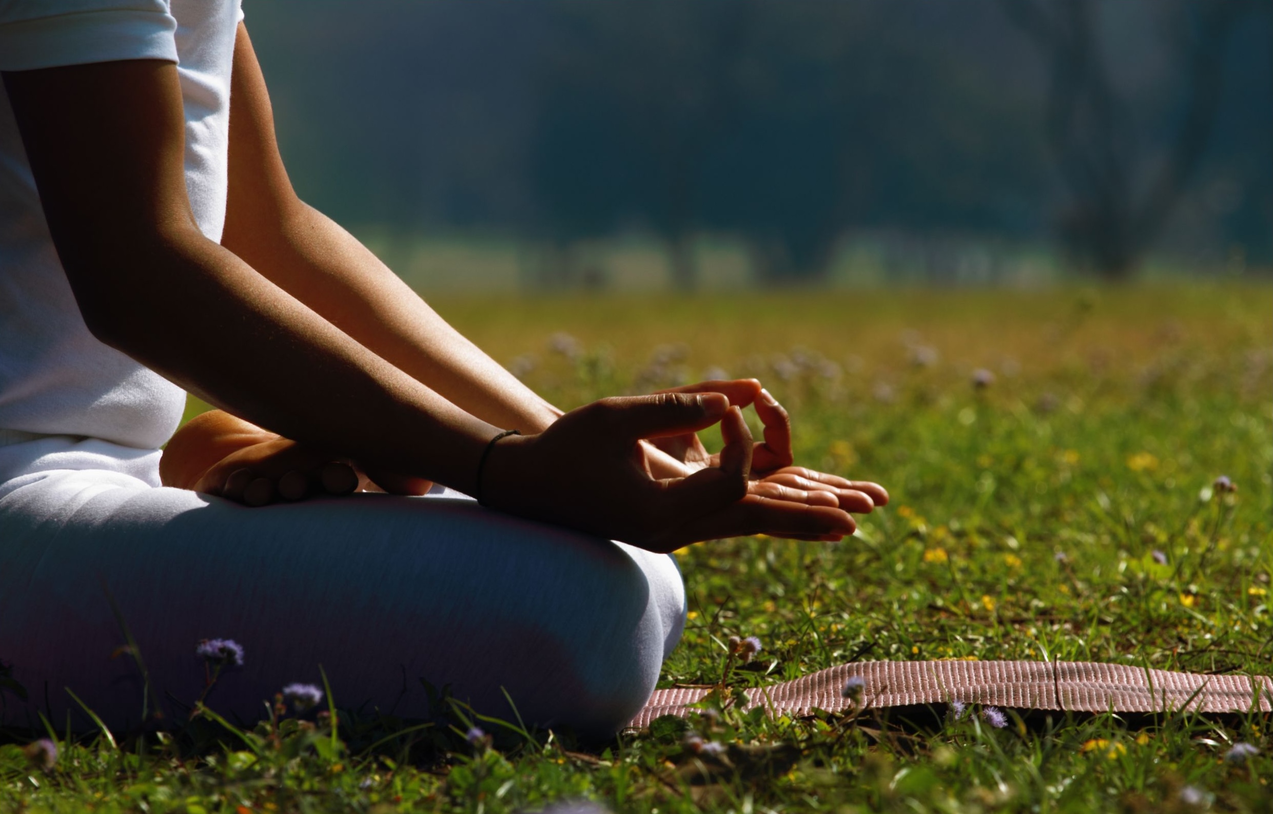 Qué es el Hatha Yoga y por qué es ideal para principiantes